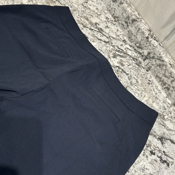 Briggs pants - Picture 6 of 8